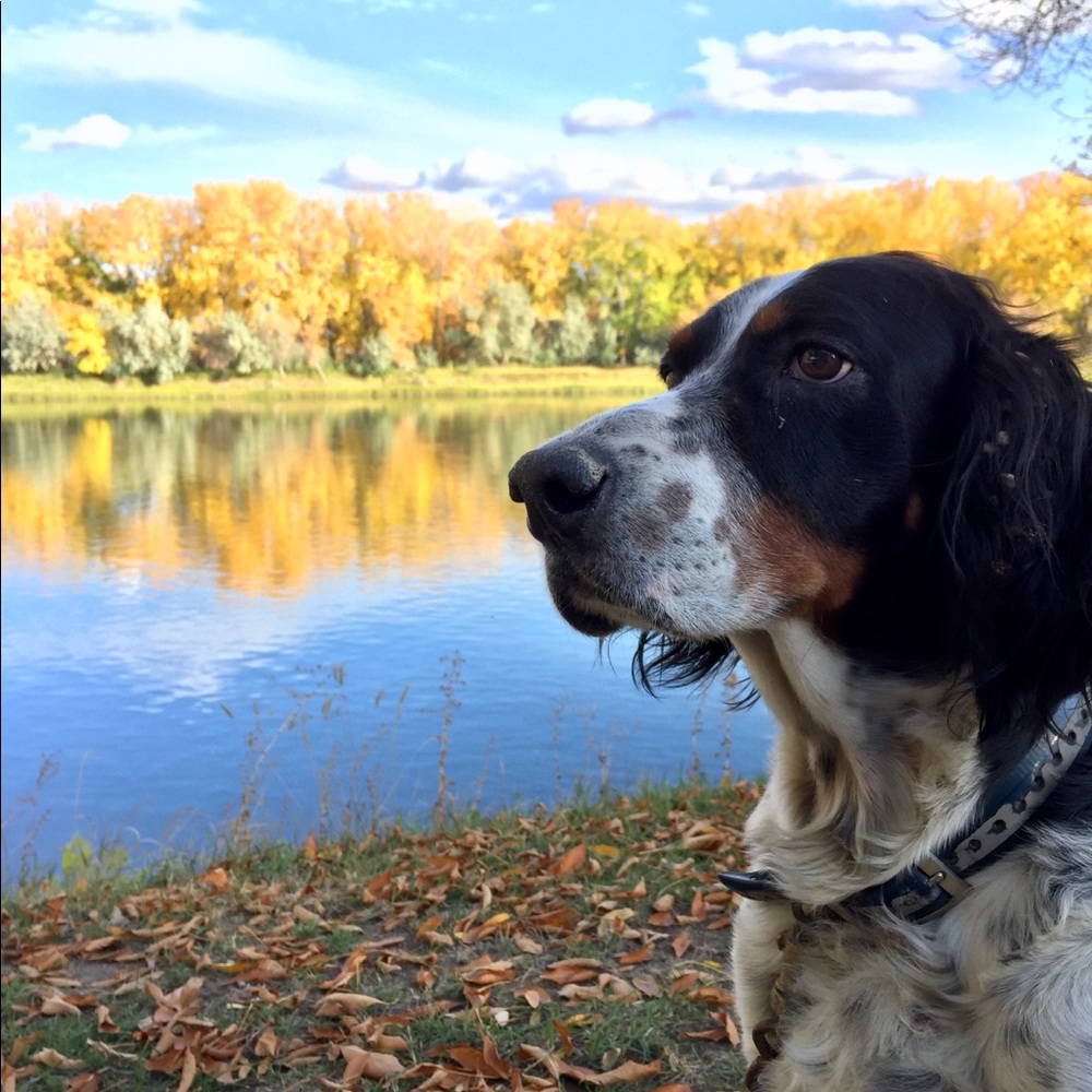 Meet your Posher, Anna